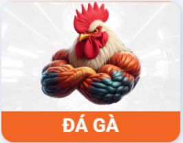 icon đá gà OPEN88